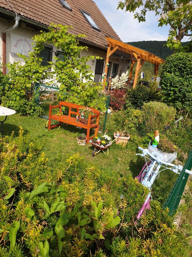 Apartment Da Elisa Rietheim-Weilheim Exterior foto